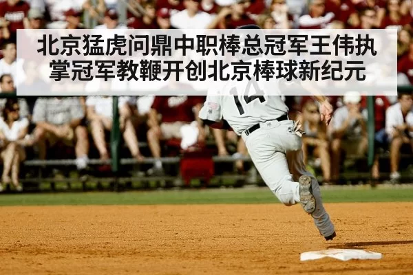 北京猛虎问鼎中职棒总冠军王伟执掌冠军教鞭开创北京棒球新纪元